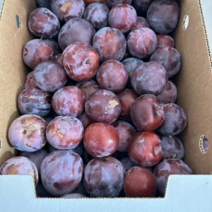 Organic Plums/Pluots