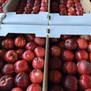 Organic White Nectarines
