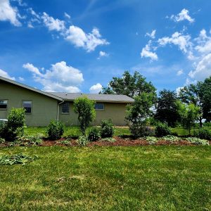 Food Forest Bed