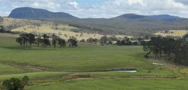 Wilsons Peak Produce